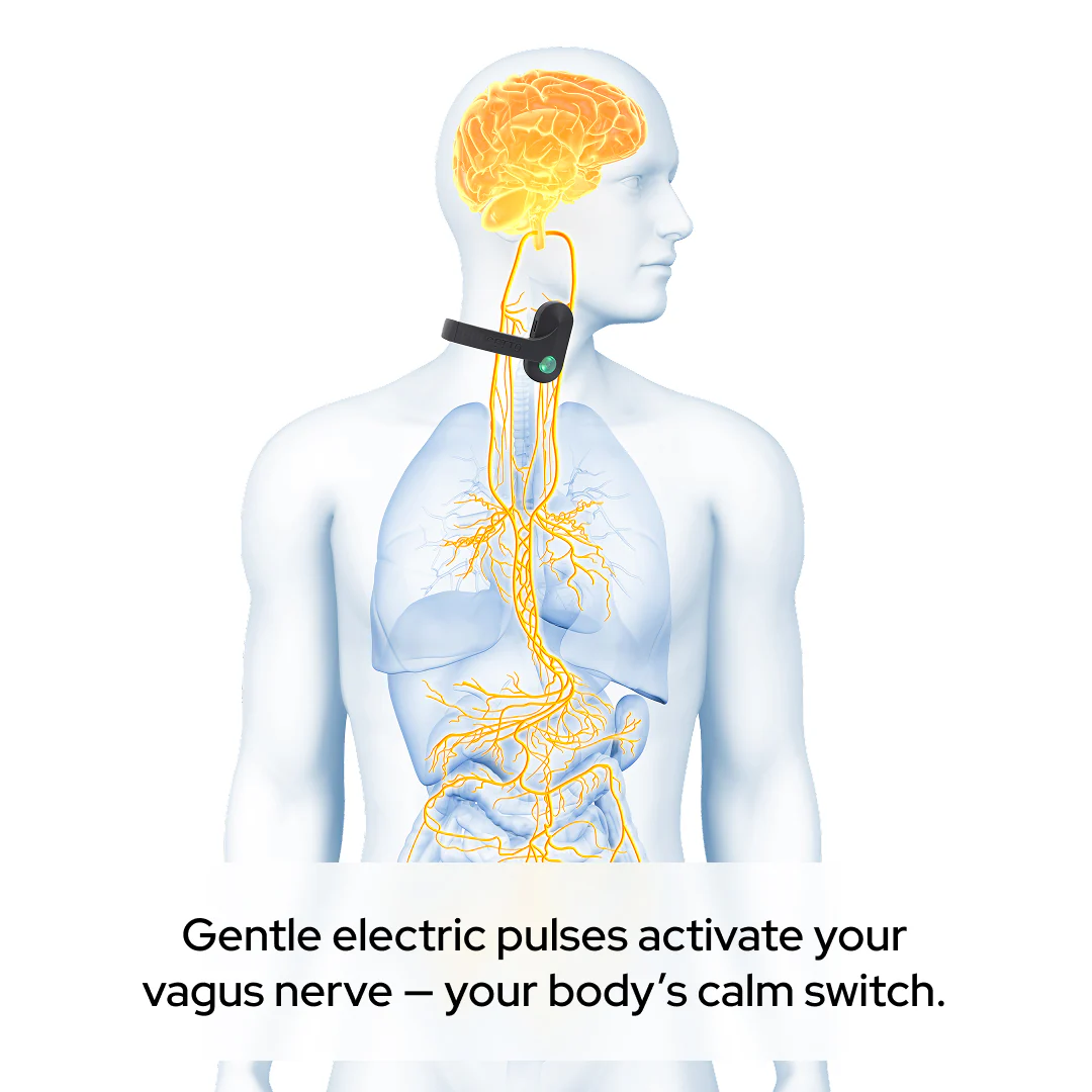 Pulsetto vagus nerve stimulation device HSA/FSA - Image 4